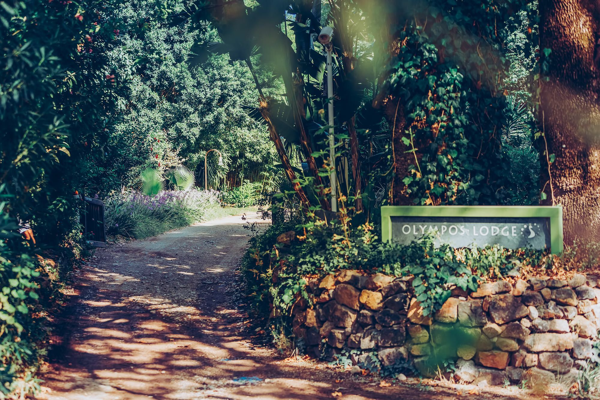 Olympos Lodge Çıralı Exteriér fotografie