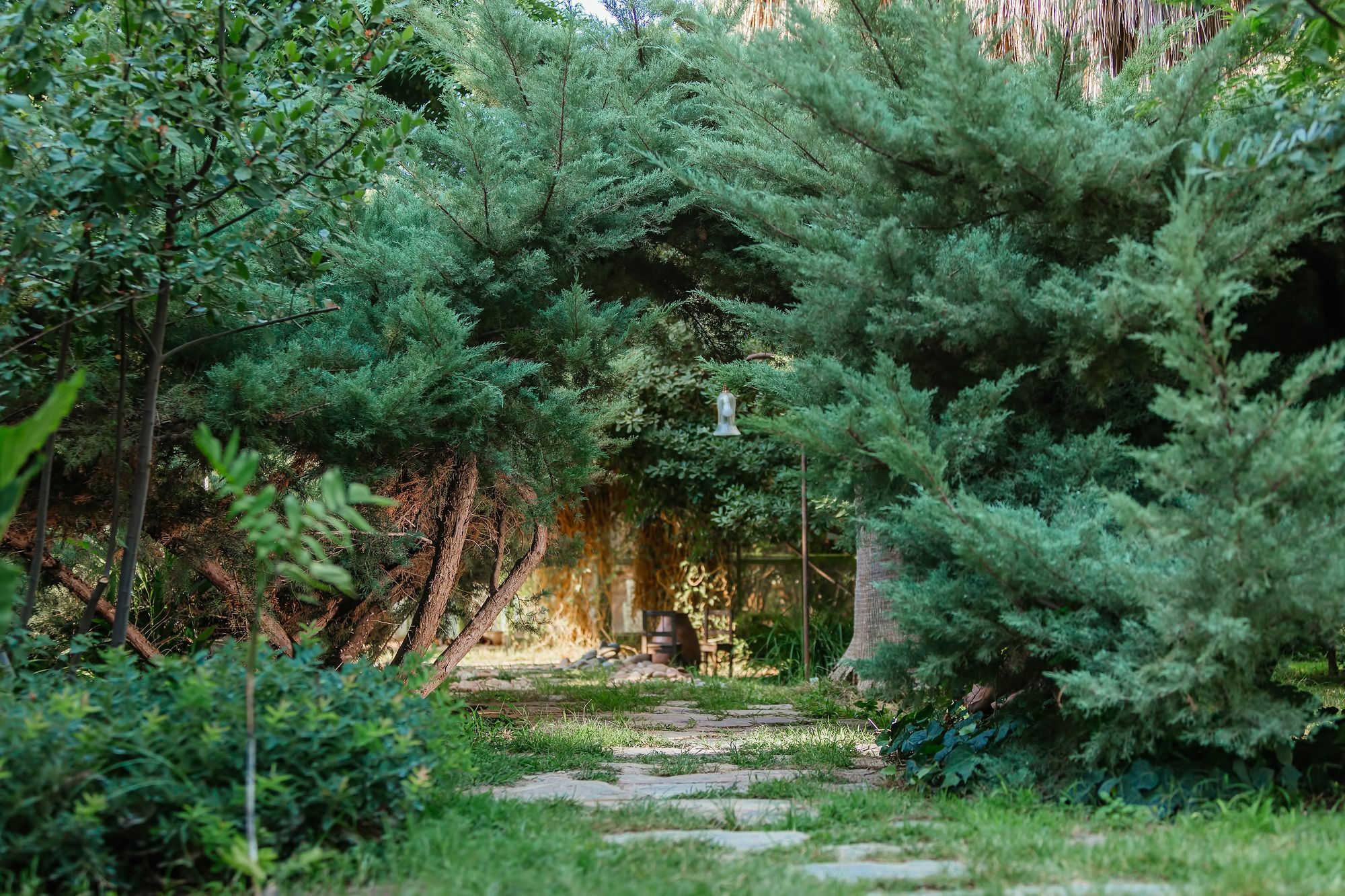 Olympos Lodge Çıralı Exteriér fotografie