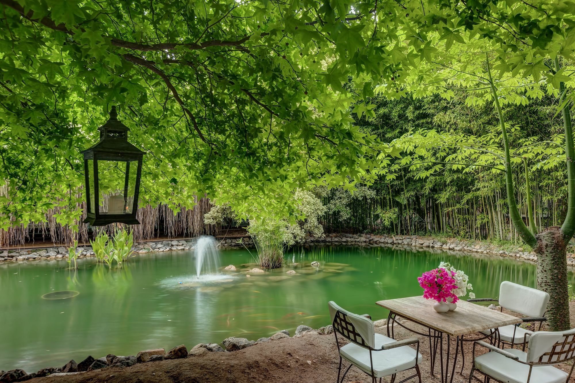 Olympos Lodge Çıralı Exteriér fotografie